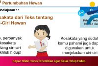 Kapan-Slide-Harus-Dihentikan-agar-Kelas-Tetap-Hidup Kapan Slide Harus Dihentikan agar Kelas Tetap Hidup