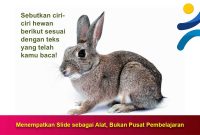 Menempatkan-Slide-sebagai-Alat Menempatkan Slide sebagai Alat